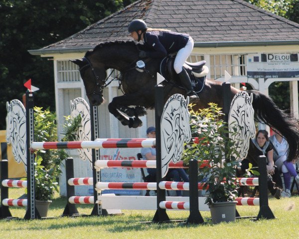 jumper Akeby's auch hübsch (Holsteiner, 2008, from Farouche)