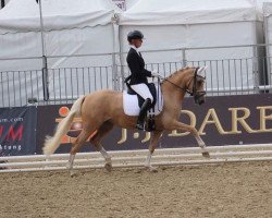 Zuchtstute FS Nala (Deutsches Reitpony, 2014, von Fs Numero Uno)
