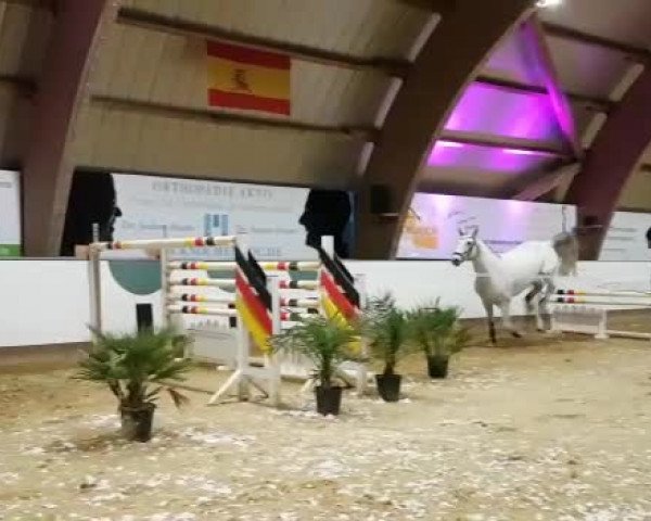 Video von Kora 201