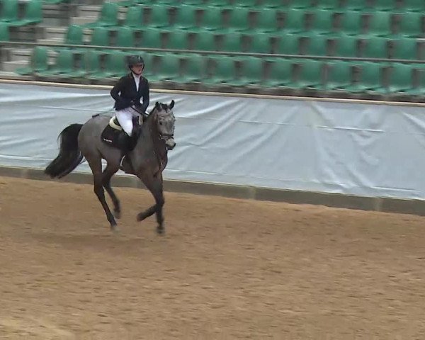 Reitturnier Kreuth/Opf. 2022