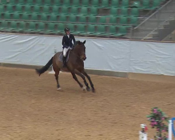 Reitturnier Kreuth/Opf. 2022