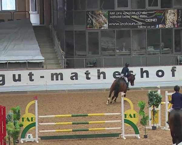 Reitturnier Kreuth/Opf. 2022