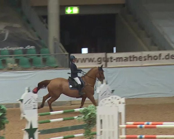 Reitturnier Kreuth/Opf. 2022