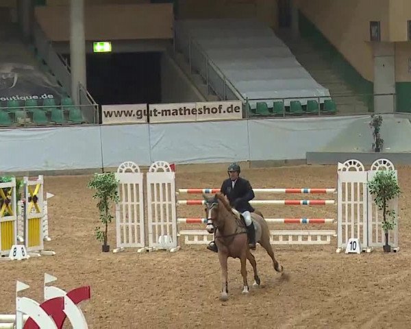 Reitturnier Kreuth/Opf. 2022