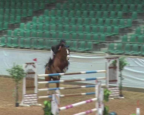 Reitturnier Kreuth/Opf. 2022