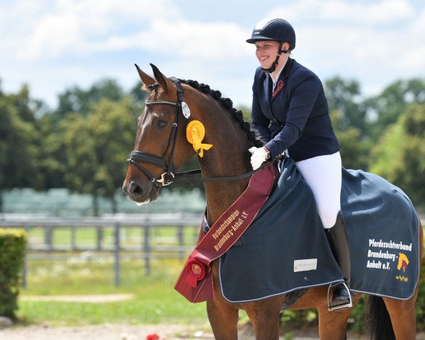 dressage horse Frl. Susi (German Sport Horse, 2016, from Fuerst William Old)