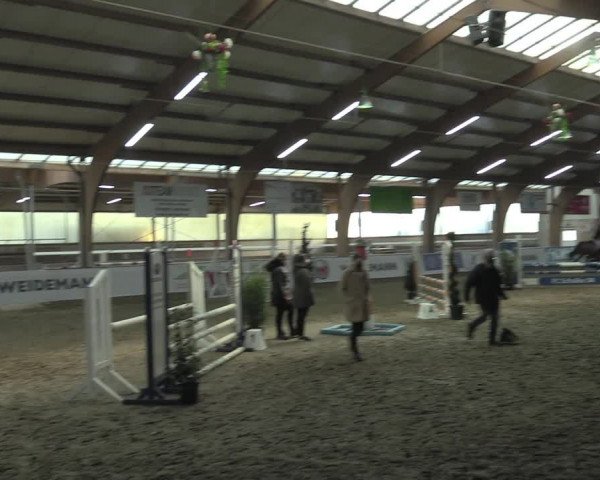 Hallenspringturnier Barlo-Bocholt 2022