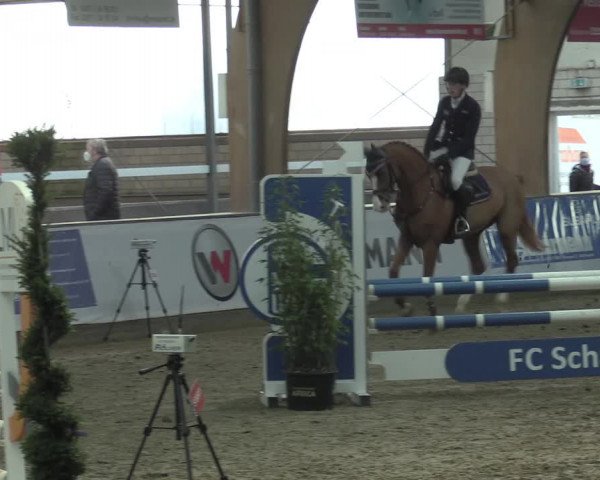 Hallenspringturnier Barlo-Bocholt 2022