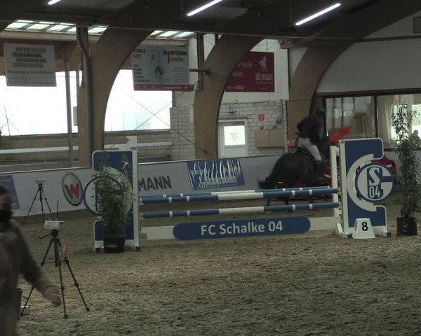Hallenspringturnier Barlo-Bocholt 2022