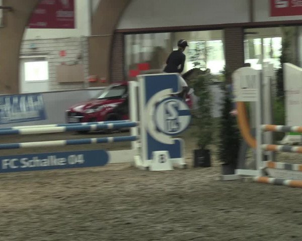 Hallenspringturnier Barlo-Bocholt 2022