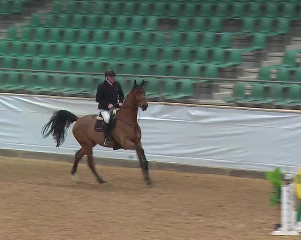 Reitturnier Kreuth/Opf. 2022