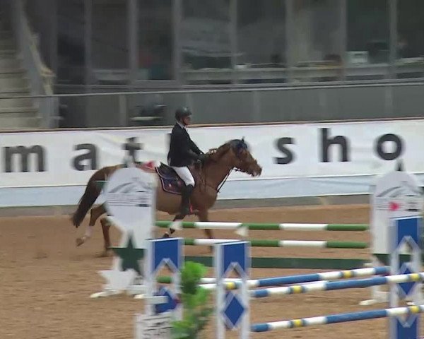 Reitturnier Kreuth/Opf. 2022