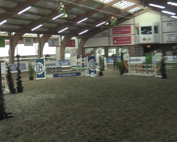 Hallenspringturnier Barlo-Bocholt 2022