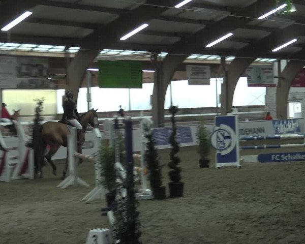 Hallenspringturnier Barlo-Bocholt 2022