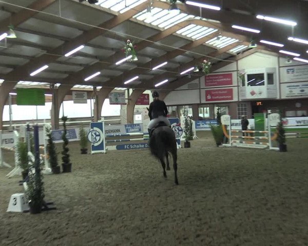 Hallenspringturnier Barlo-Bocholt 2022