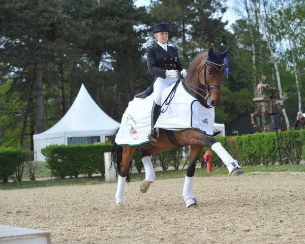 dressage horse Laetitian R. (Oldenburg, 2001, from Lord Sinclair I)