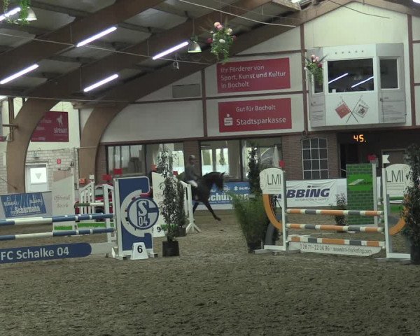 Hallenspringturnier Barlo-Bocholt 2022