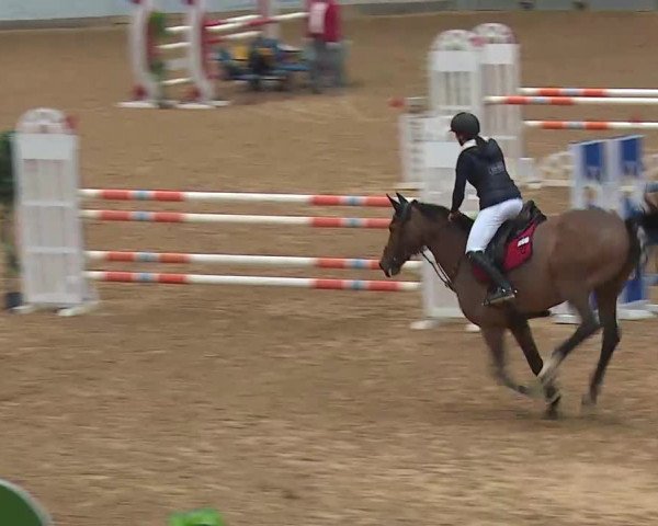 Reitturnier Kreuth/Opf. 2022