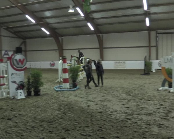 Hallenspringturnier Barlo-Bocholt 2022