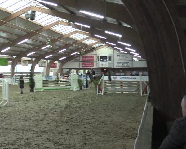 Hallenspringturnier Barlo-Bocholt 2022
