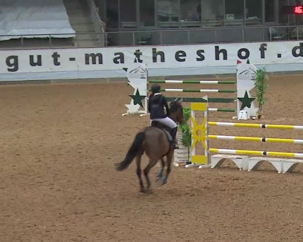 Reitturnier Kreuth/Opf. 2022