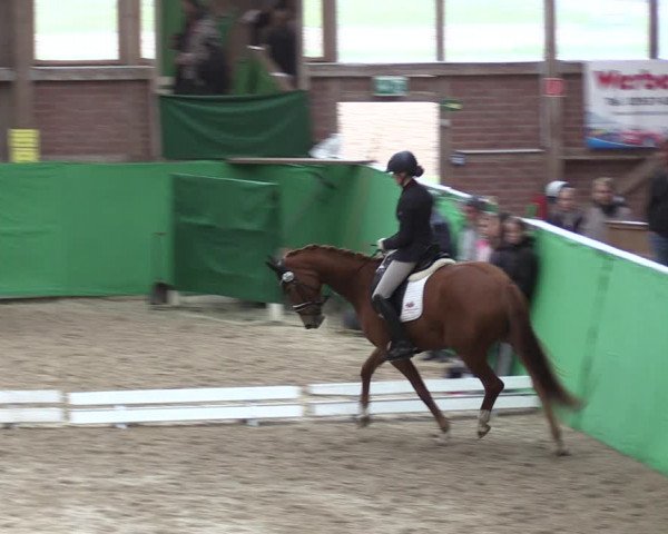 Krumke Hallenturnier mit KM 2021