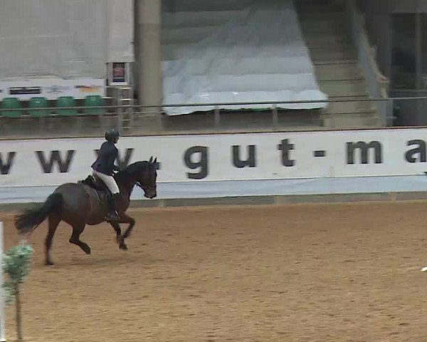 Reitturnier Kreuth/Opf. 2022