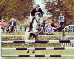 jumper Centos-Sohn (German Riding Pony, 0000, from Centosx ox)