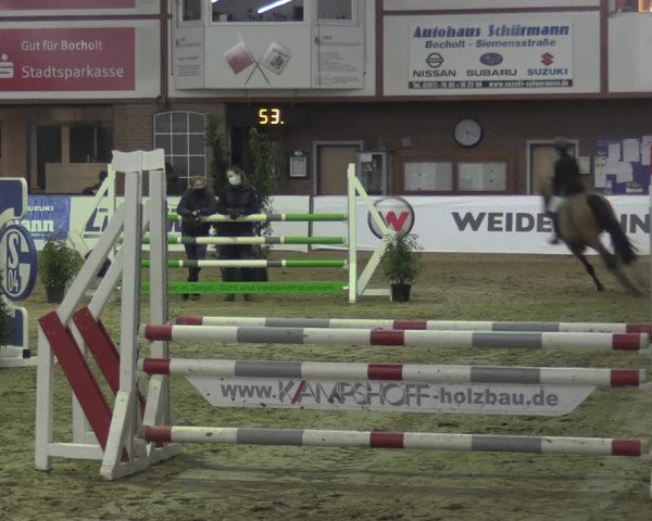 Hallenspringturnier Barlo-Bocholt 2022