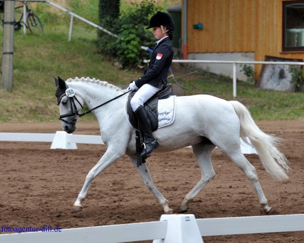 broodmare Lettenhofs Lovely Event (German Riding Pony, 1998, from Dörnberg's Erimon II)