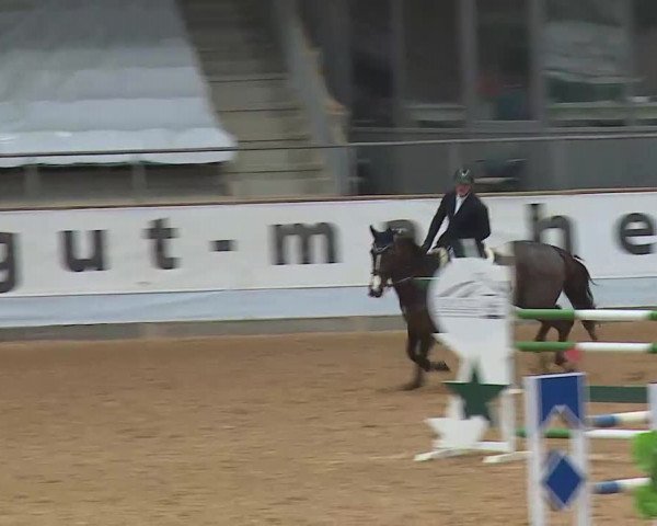 Reitturnier Kreuth/Opf. 2022