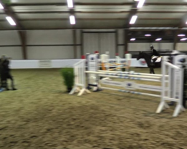 Hallenspringturnier Barlo-Bocholt 2022