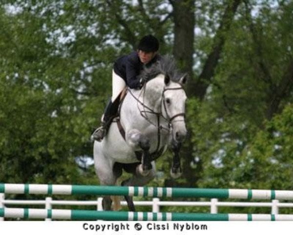 horse C'est Si Bon (Swedish Warmblood, 1998, from VDL Cardento 933)