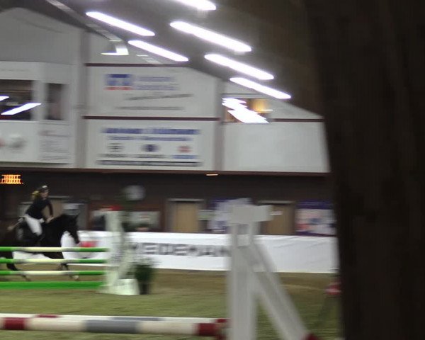 Hallenspringturnier Barlo-Bocholt 2022