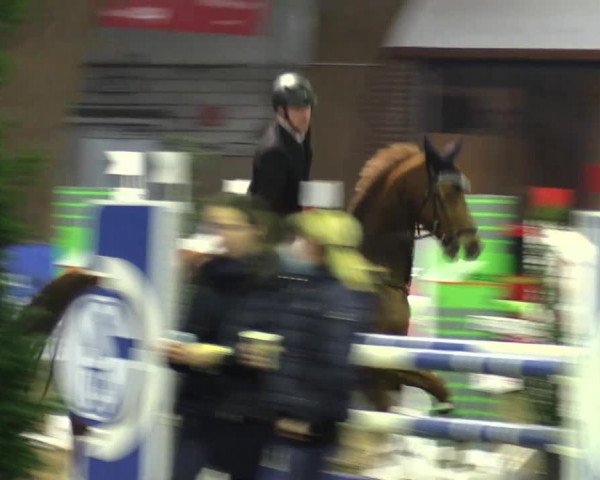 Hallenspringturnier Barlo-Bocholt 2022