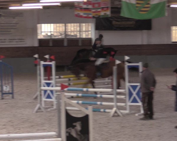Reitturnier Ströbeck 2022