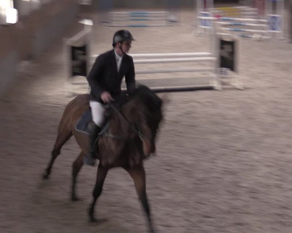 Reitturnier Ströbeck 2022