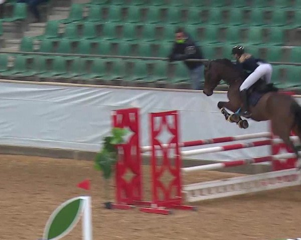 Reitturnier Kreuth/Opf. 2022