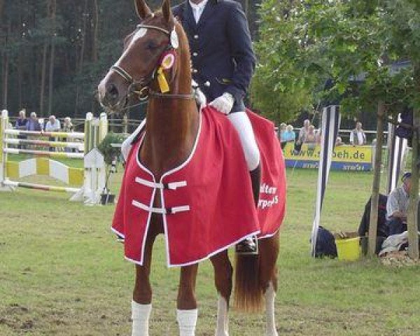 jumper Accentus 3 (Hanoverian, 2000, from Adlantus As FRH)
