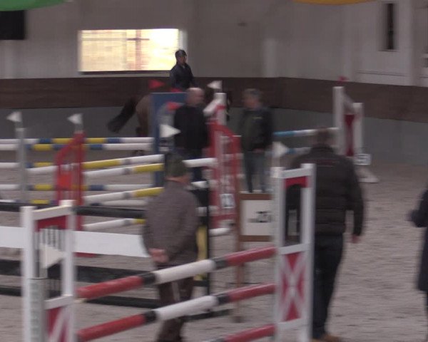 Reitturnier Ströbeck 2022