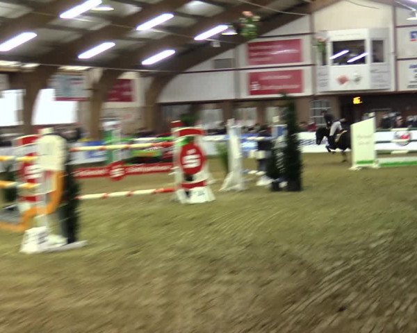 Hallenspringturnier Barlo-Bocholt 2022