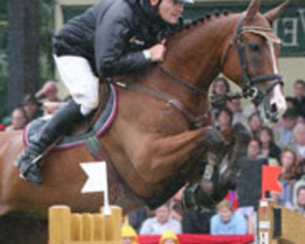 jumper Aboyeur W (Westphalian, 1994, from Anmarsch)