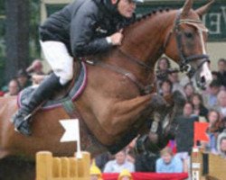jumper Aboyeur W (Westphalian, 1994, from Anmarsch)