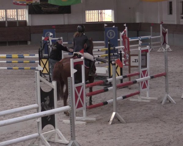 Reitturnier Ströbeck 2022