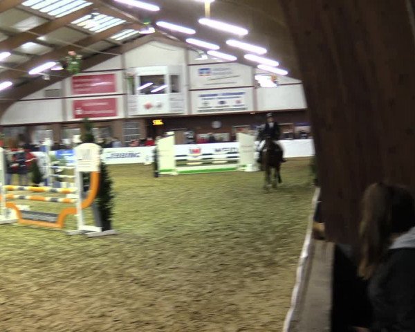 Hallenspringturnier Barlo-Bocholt 2022