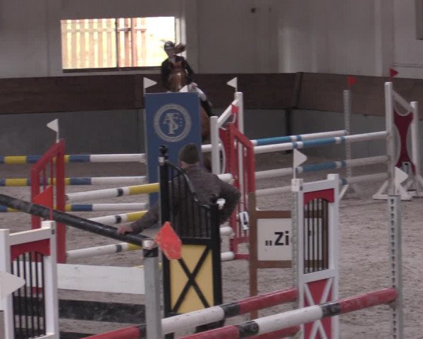 Reitturnier Ströbeck 2022