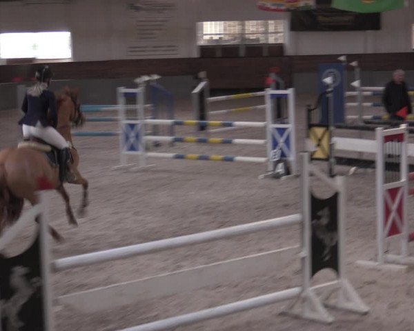 Reitturnier Ströbeck 2022