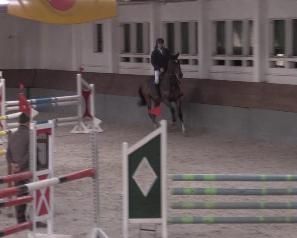 Reitturnier Ströbeck 2022