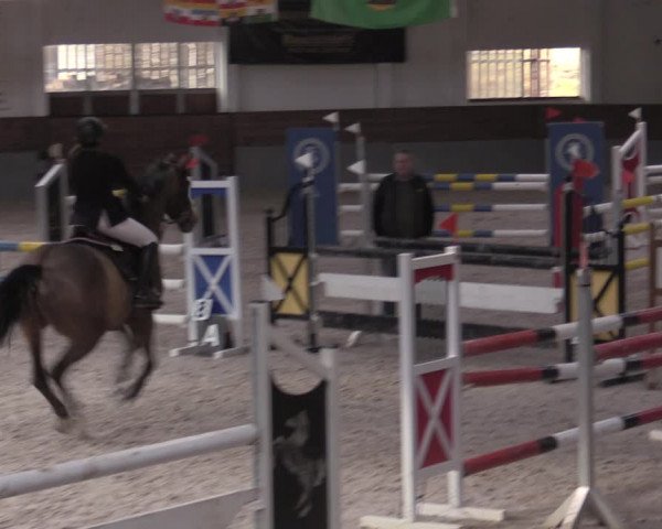 Reitturnier Ströbeck 2022