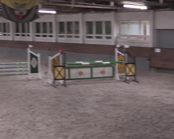 Reitturnier Ströbeck 2022